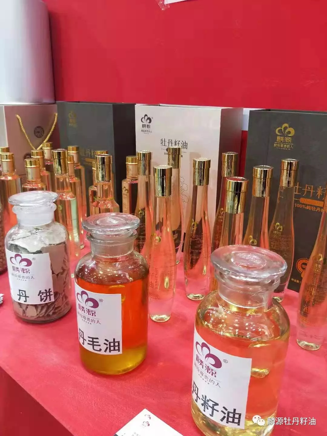 綠色夢想，全新啟航！麟源牡丹康普生物參展第十六屆中國林產(chǎn)品交易會